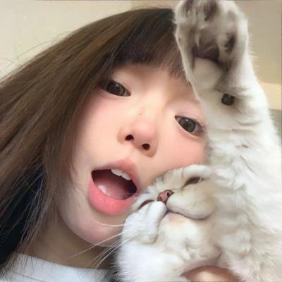 诡婳狐